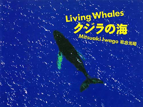 自身の写真集を語る Iwago 動物写真家 岩合光昭 オリンパス