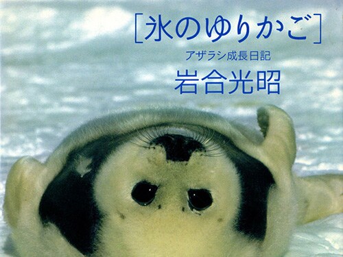 自身の写真集を語る Iwago 動物写真家 岩合光昭 オリンパス 自身の写真集を語る Iwago 動物写真家 岩合光昭 オリンパス