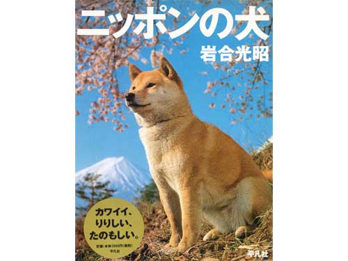 Iwago 動物写真家 岩合光昭 オリンパス Iwago 動物写真家 岩合光昭 オリンパス