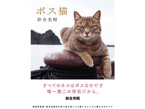 Iwago 動物写真家 岩合光昭 オリンパス