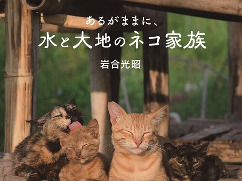 Iwago 動物写真家 岩合光昭 オリンパス