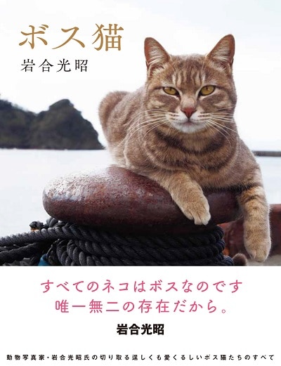 出版物 写真集 ボス猫 出版 のお知らせ Iwago News Iwago 動物写真家 岩合光昭 オリンパス 出版物 写真集 ボス猫 出版 のお知らせ Iwago News Iwago 動物写真家 岩合光昭 オリンパス