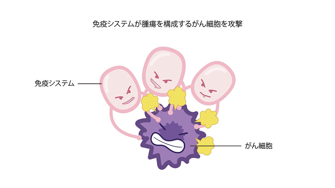 免疫システムが腫瘍を構成するがん細胞を攻撃