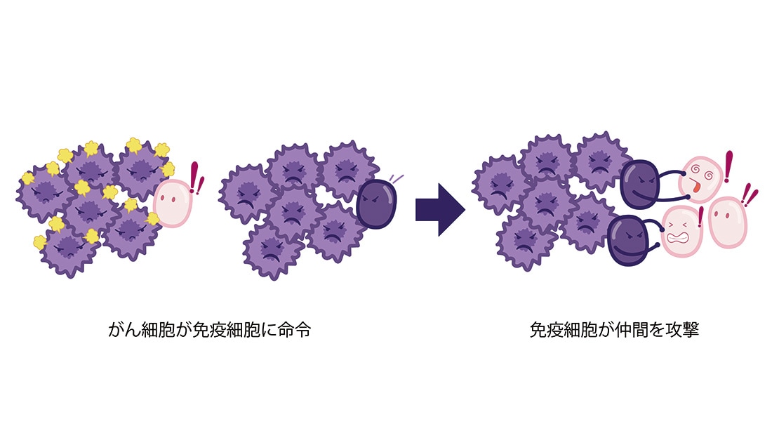 がん細胞が免疫細胞に命令、免疫細胞が仲間を攻撃