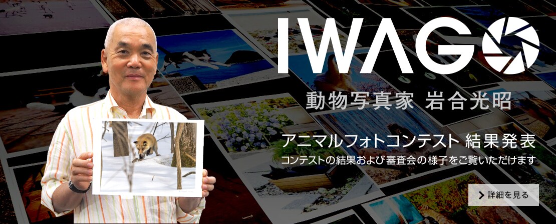 アニマルフォトコンテスト結果発表