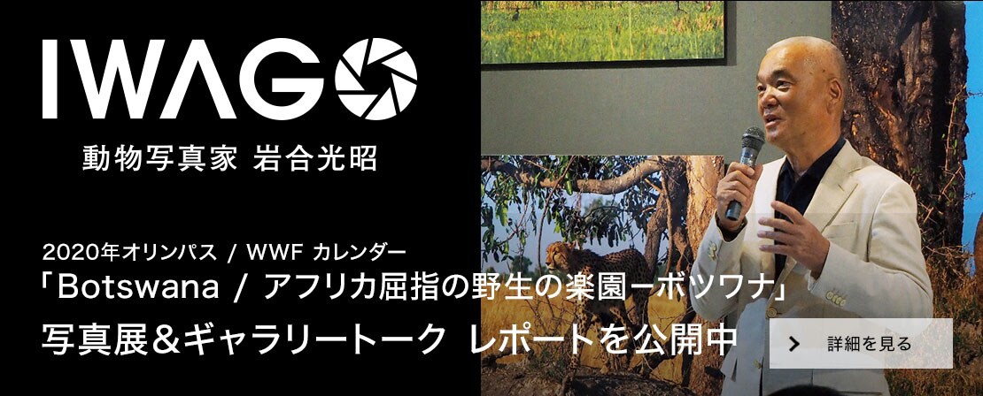 IWAGO - 動物写真家 岩合光昭 -