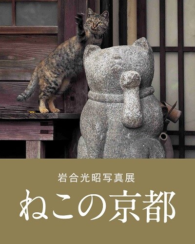 岩合光昭写真展 ねこの京都 開催のお知らせ 埼玉県 Iwago News Iwago 動物写真家 岩合光昭 オリンパス