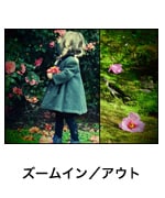 ズームイン／アウト