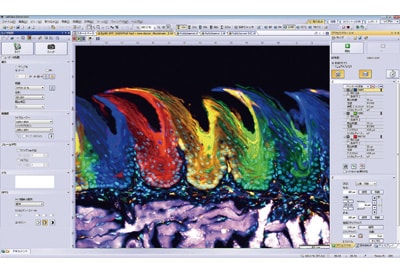 イメージングソフトウエア「cellSens® V1.11」の操作画面