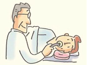 上部内視鏡検査の様子（イメージ）