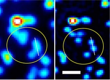 図2 蛍光ビーズを用いた原理の確認実験