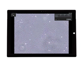 CKX-CCSWを用いた培養細胞の計測画面