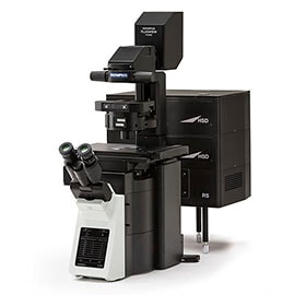 共焦点レーザー走査型顕微鏡「FV3000」