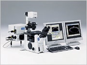 共焦点レーザ走査型顕微鏡・FV-1000