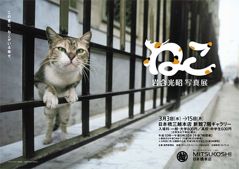 岩合光昭写真展「ねこ」