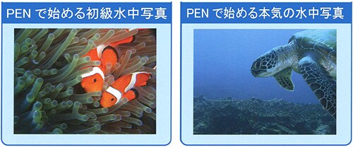 PENで始める初級水中写真、PENで始める本気の水中写真