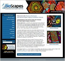 BioScapes