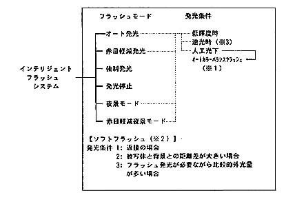 フラッシュ・システム