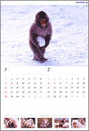 オリンパスカレンダー