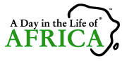 A Day in the Life of Africa