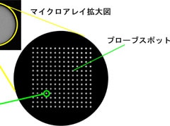 プローブスポット拡大図