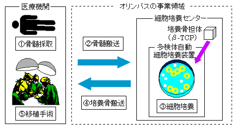 再生医療事業概念図