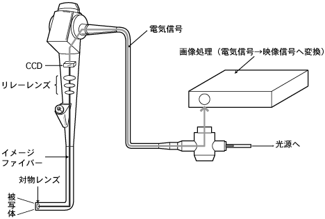 構造図