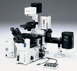 倒立型電動顕微鏡IX81（別売）と生物系ディスク走査型顕微鏡「IX2-DSU」の組み合わせ