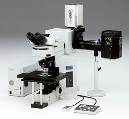 正立型電動レボルバ上下式顕微鏡 BX61WI (別売) と生物系ディスク走査型顕微鏡「BX-DSU」の組み合わせ