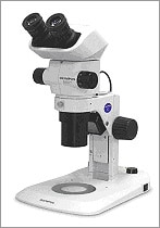 実体顕微鏡 「SZX7」