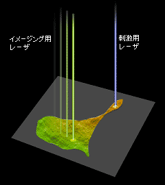 ツインスキャンシステムのイメージ図