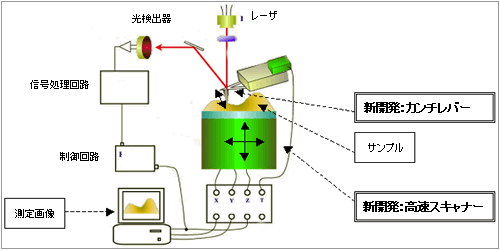 「高速原子間力顕微鏡」の模式図