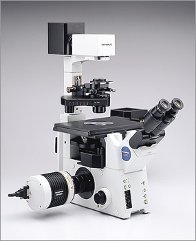高感度冷却CCDカメラ「DP30BW」 当社倒立生物顕微鏡「IX81」との組み合わせ例