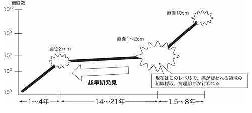 出典：「癌の自然史、現代病理学大系9c腫瘍 III（中山書店）」 藤田晢也著掲載の図に加筆