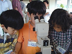 実体顕微鏡の観察実習をします。