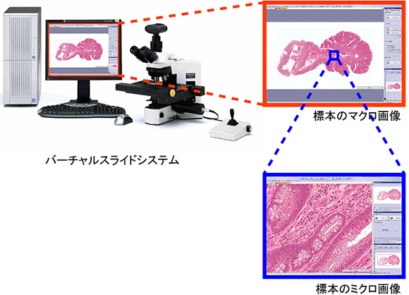 バーチャルスライドシステムのイメージ図