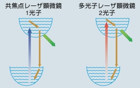 図1