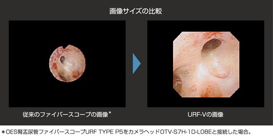 大画面で高画質な観察画像