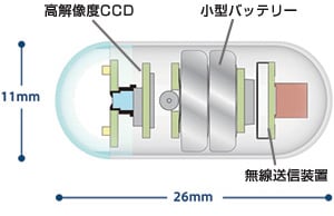 カプセルの模式図