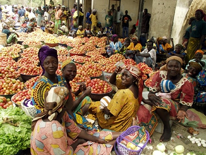 (C)John Isaac from "A Day in the Life of Africa" (C)John Isaac from "A Day in the Life of Africa"