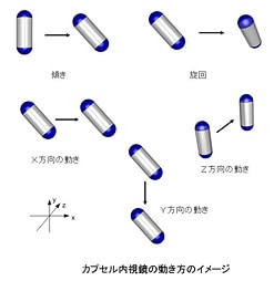 カプセル内視鏡の動き方のイメージ