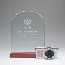 カメラグランプリ2010 大賞 「OLYMPUS PEN E-P1」