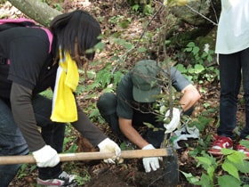 植樹活動の様子