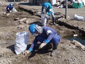 5月に派遣された従業員ボランティアの様子