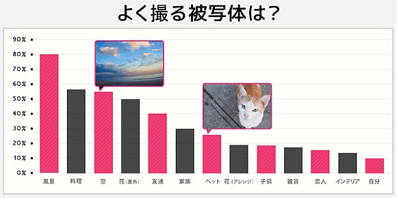 よく撮る被写体は？