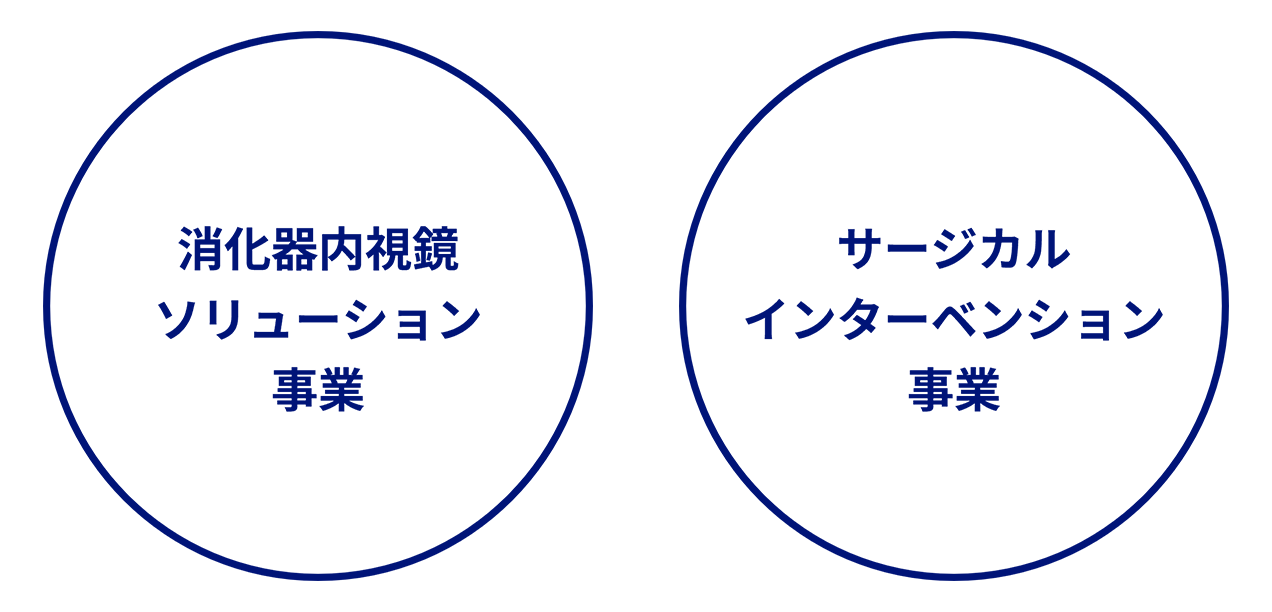 内視鏡事業 Endoscopic Solutions Division、治療機器事業 Therapeutic Solutions Division