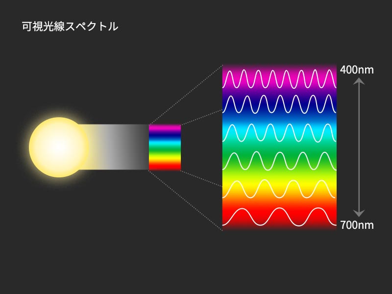 おうちの中で虹を作ろう のしくみ 自由研究 わくわく科学教室 技術 デザイン オリンパス